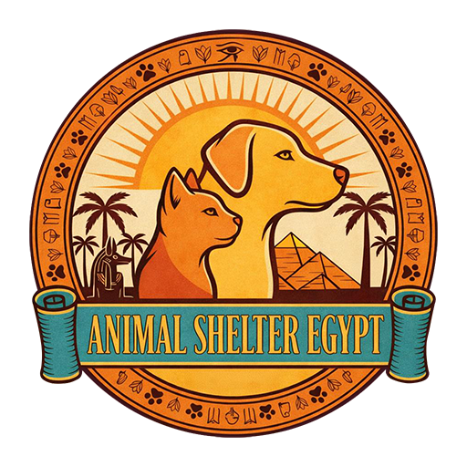 Animal Shelter Egypt