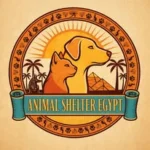 Animal Shelter Egypt